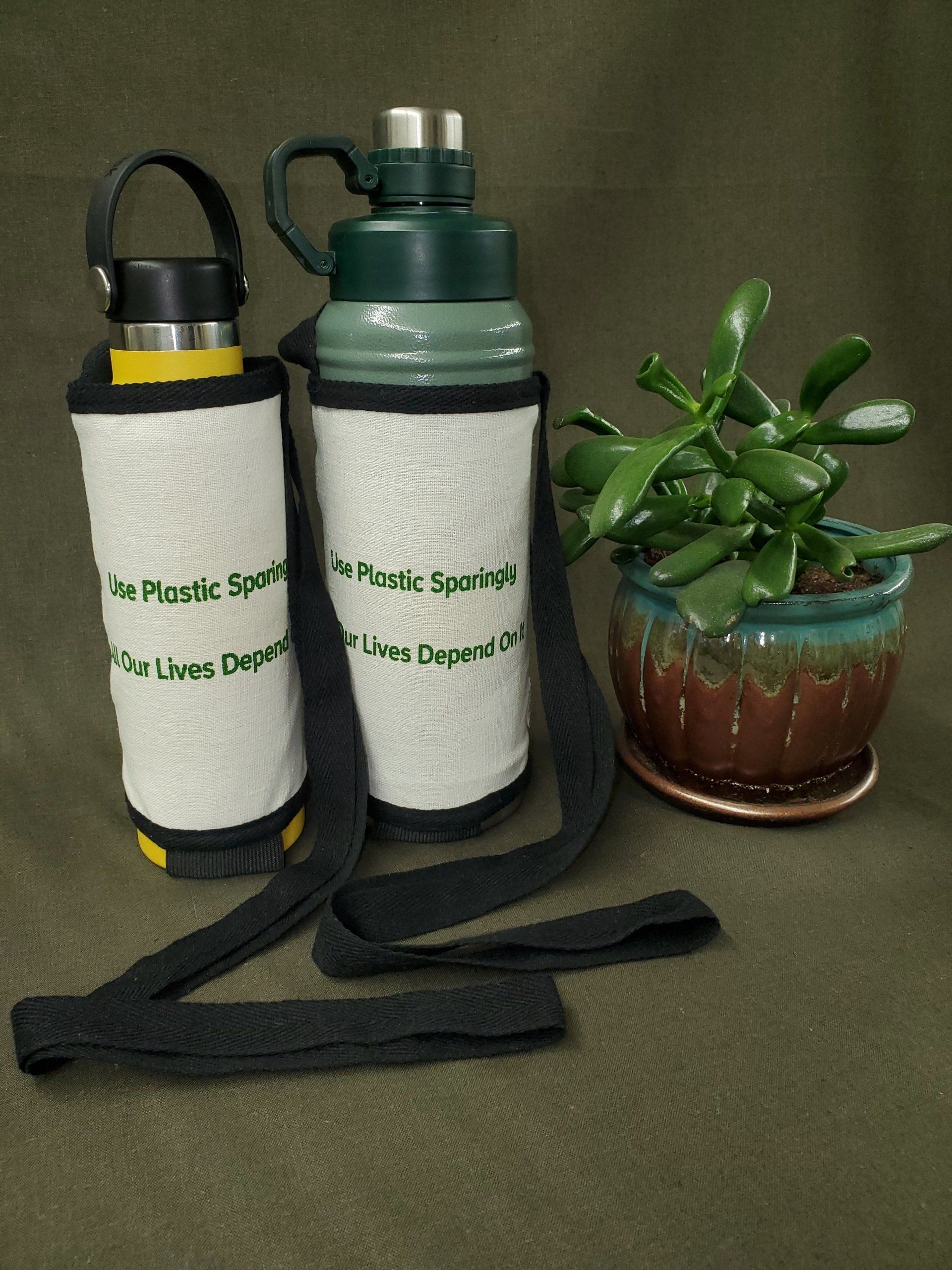 Two water bottles are sitting next to a potted plant.