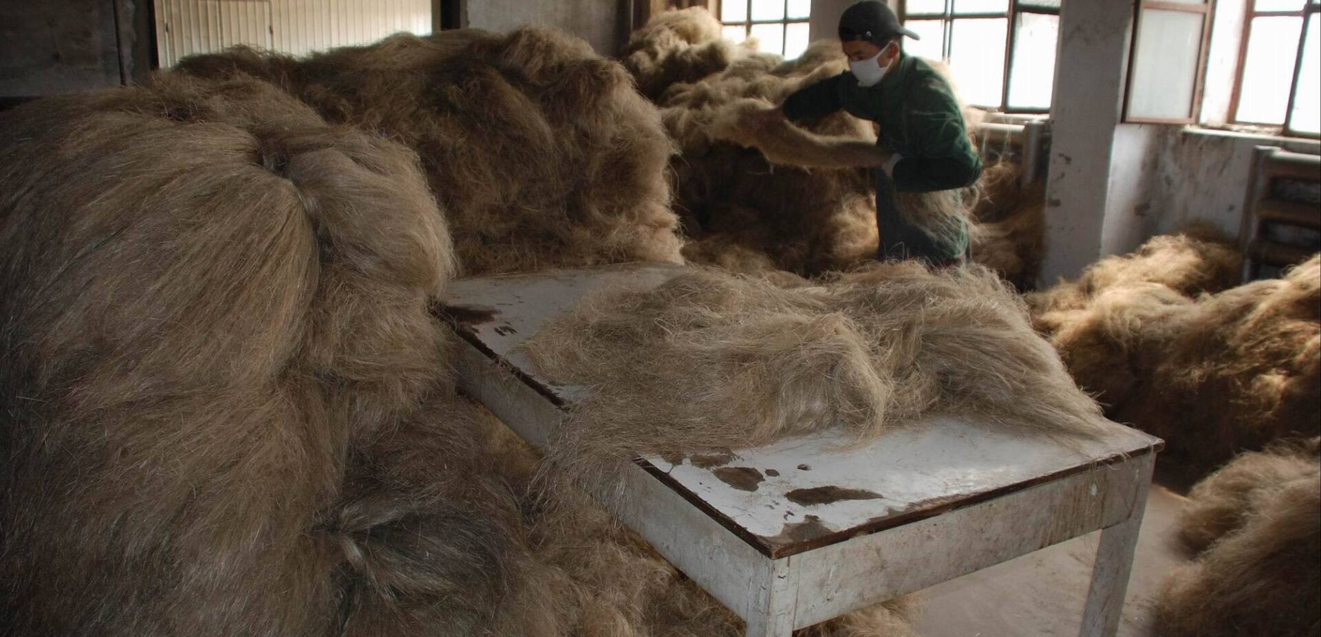 A man wearing a mask is standing next to a pile of hay.
