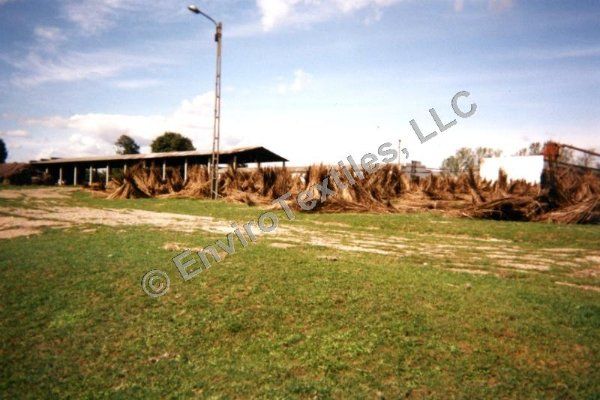 A blurred photo of a field with the letters llc on the bottom