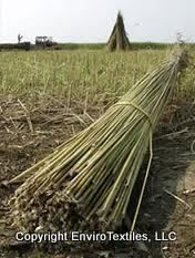 A pile of hemp stalks is sitting in the middle of a field.