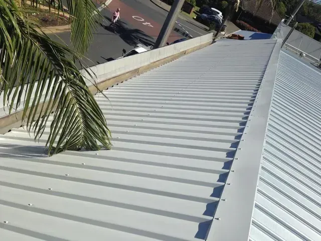 A White Roof With a Palm Tree in the Foreground — Rhythm Roofing in North Boambee Valley, NSW
