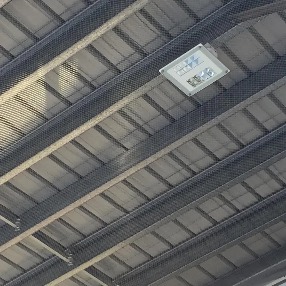 Bird Proofing — Rhythm Roofing in North Boambee Valley, NSW