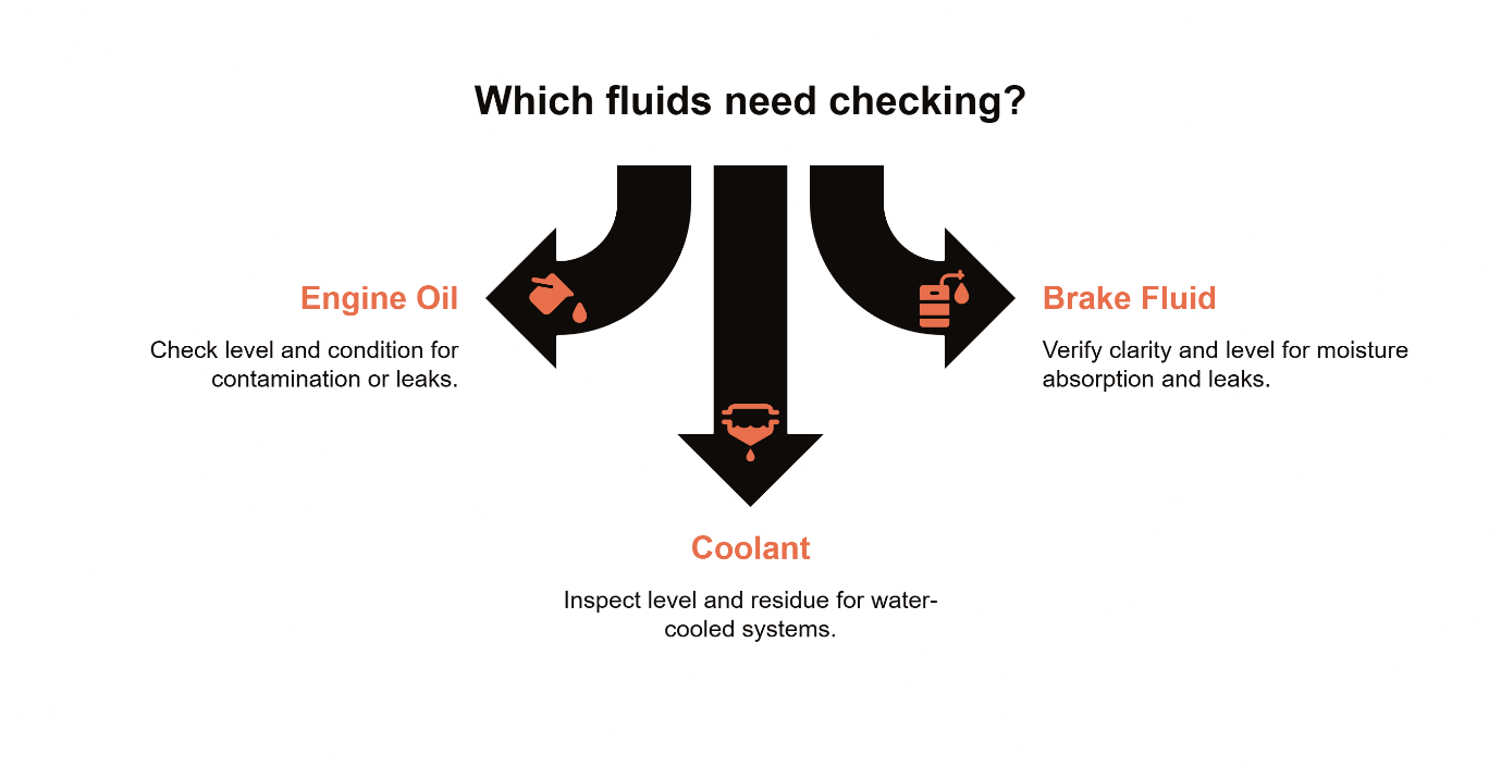 Car fluid inspection diagram showing three essential checks — engine oil level and contamination, brake fluid clarity and moisture, and coolant level and residue for classic and modern vehicles.