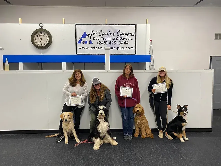 A group of people standing next to each other with their dogs.