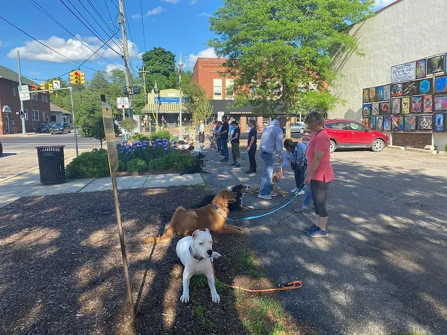 A group of people are standing on the sidewalk with their dogs.
