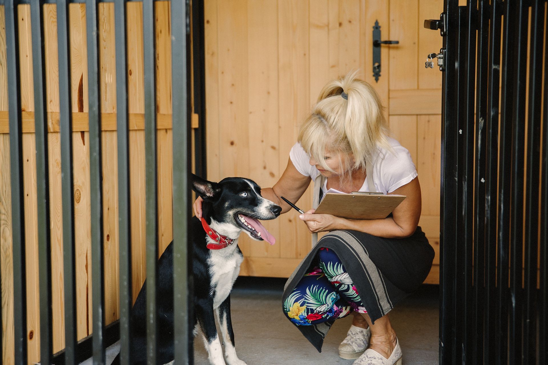 A woman is kneeling down next to a dog in a cage.