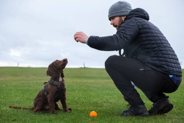 A man is kneeling down next to a puppy in a field.