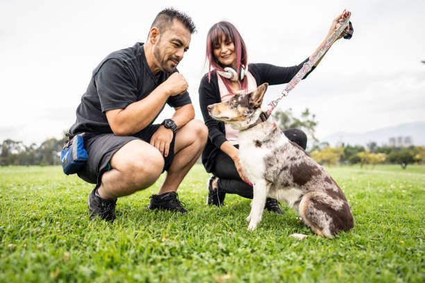 A man and a woman are kneeling down next to a dog in a park.