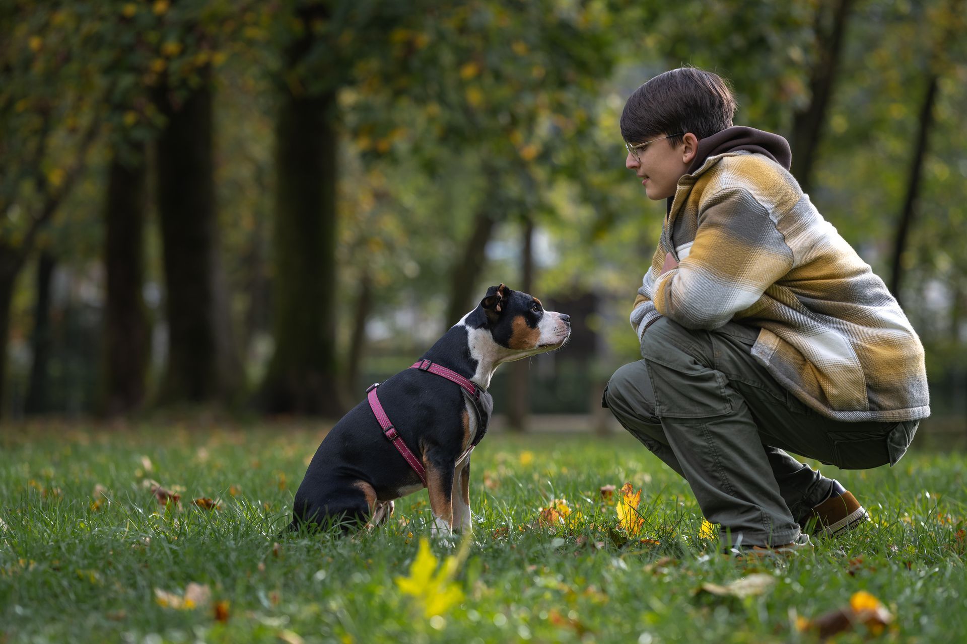 A woman is kneeling down next to a small dog in a park.