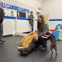 People interacting with dogs in a training room. One woman smiles, dogs are on the floor.