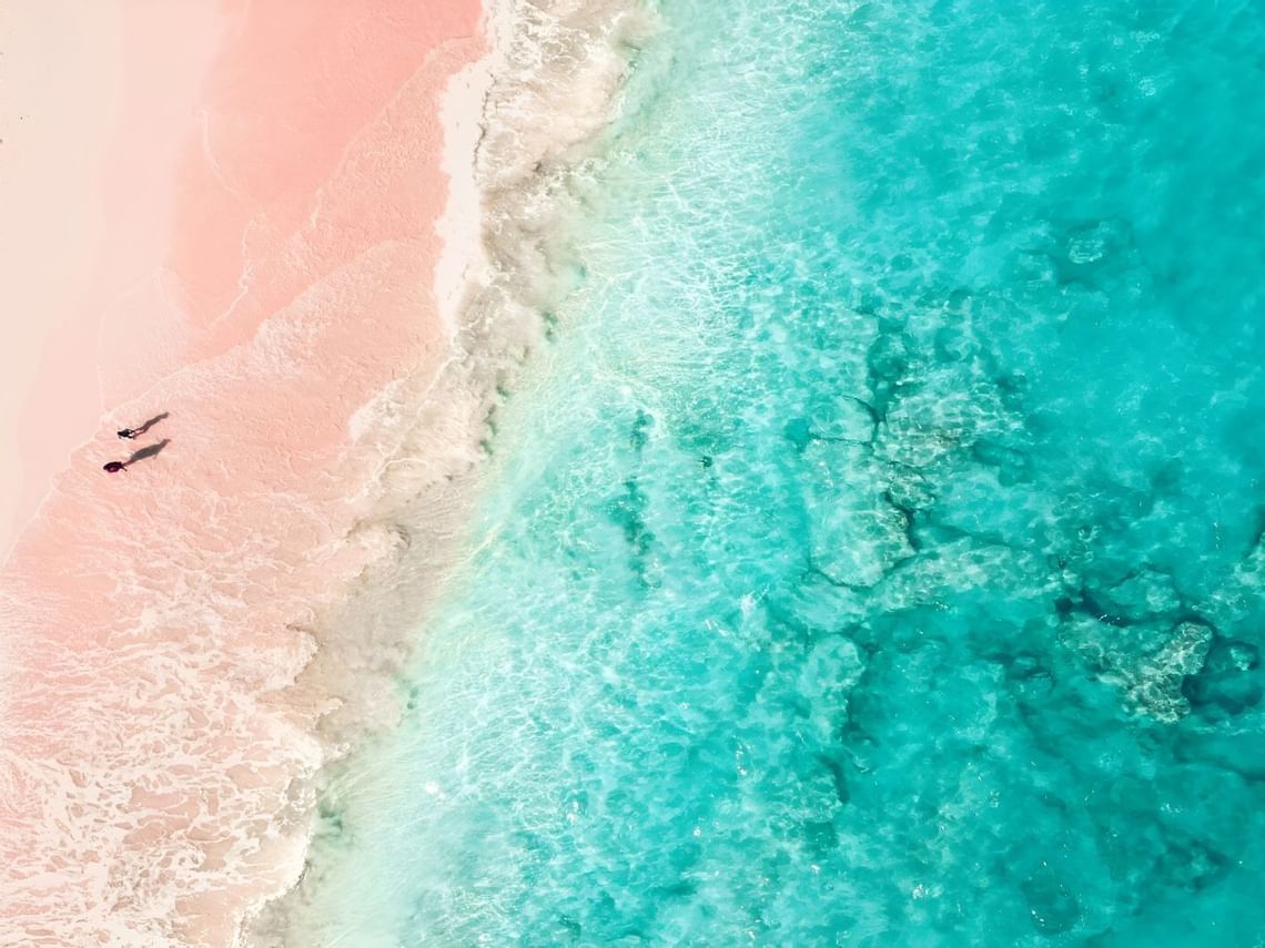 Spring in Bermuda is nothing short of magical. With vibrant blooms, perfect weather, and fewer crowd