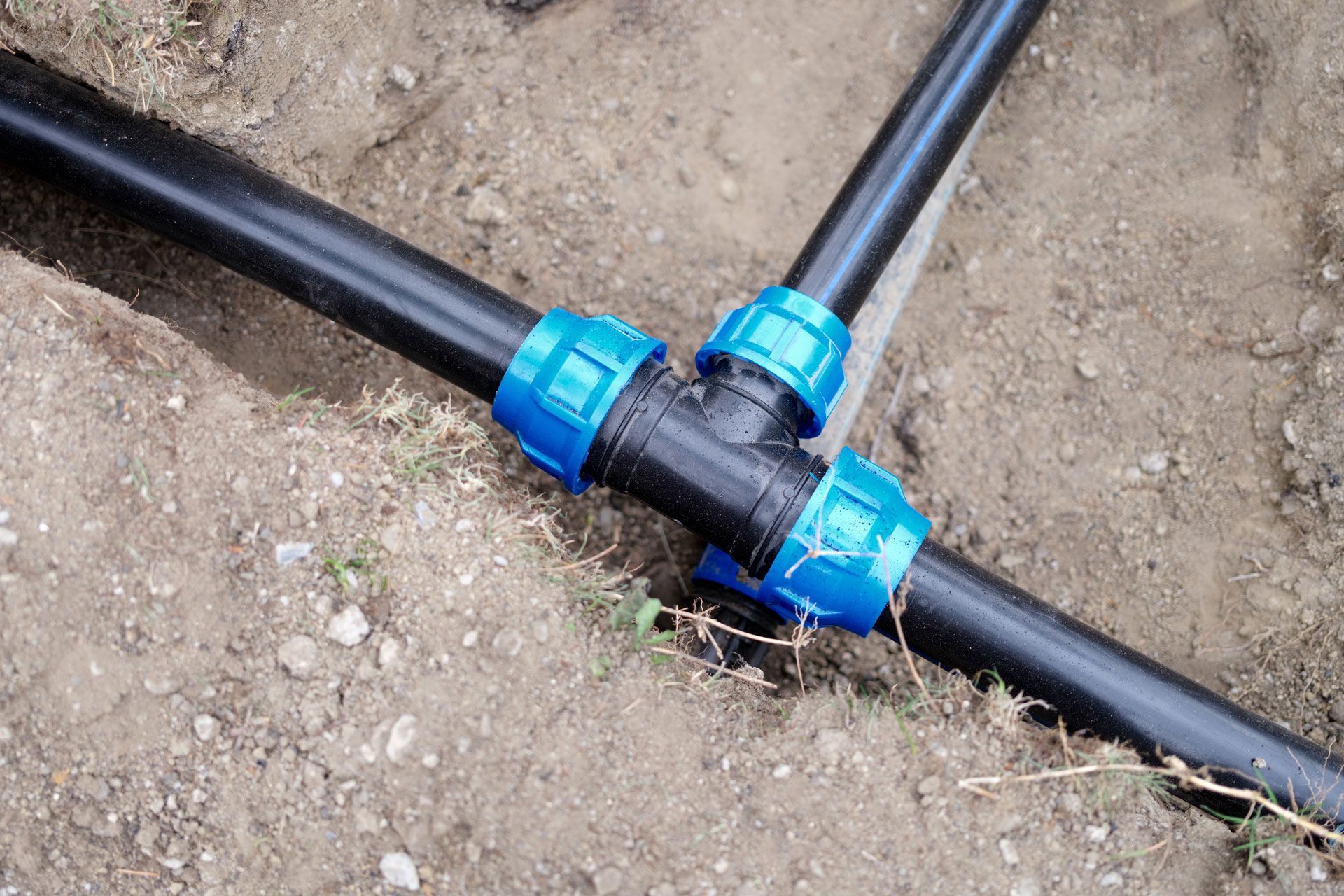 Black plastic irrigation pipes with blue connectors in dirt ground