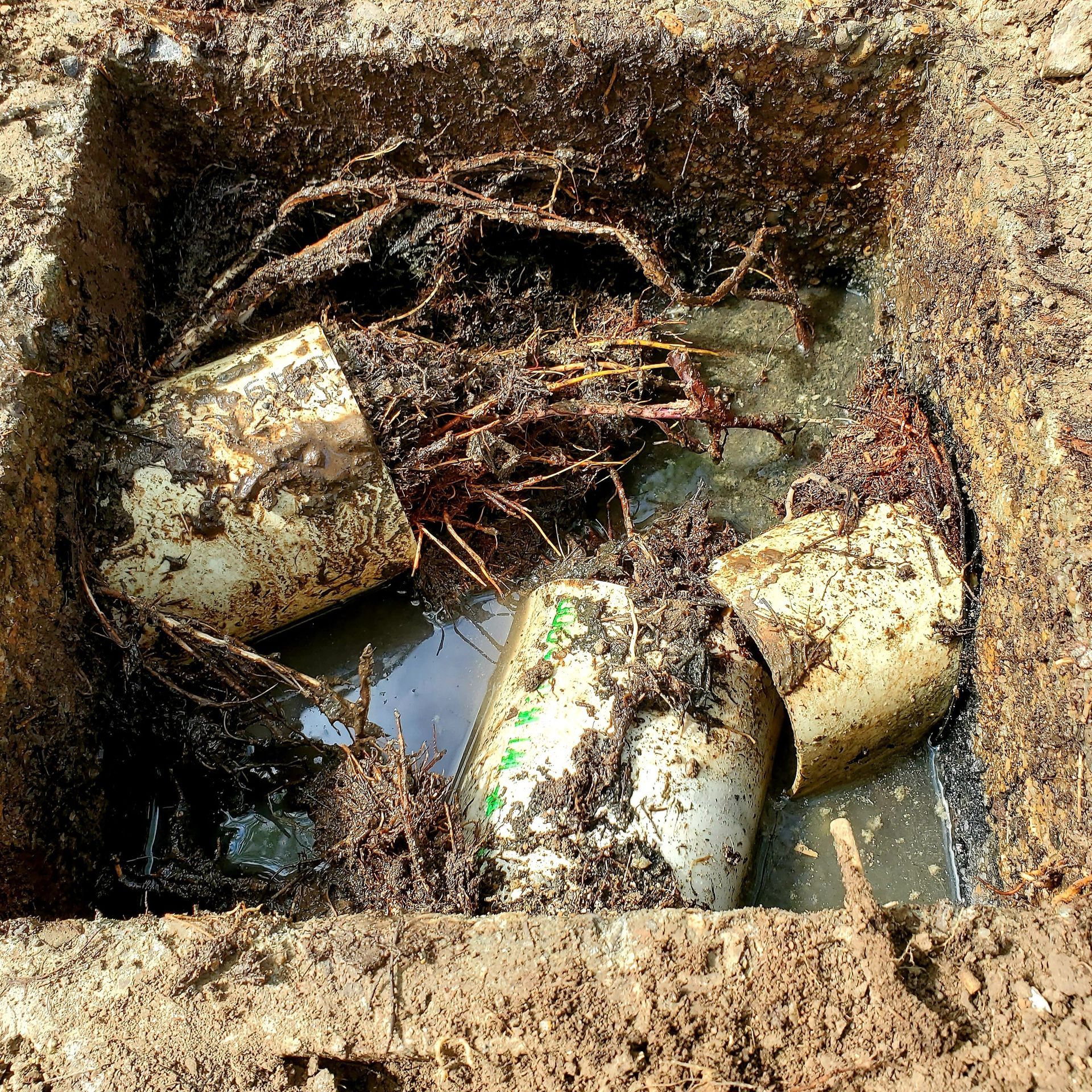 pumping out household septic tank. drain and sewage cleaning service.