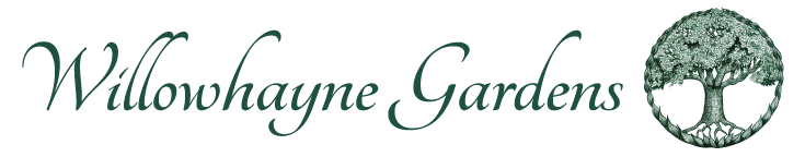 Willowhayne Gardens logo and tree symbol