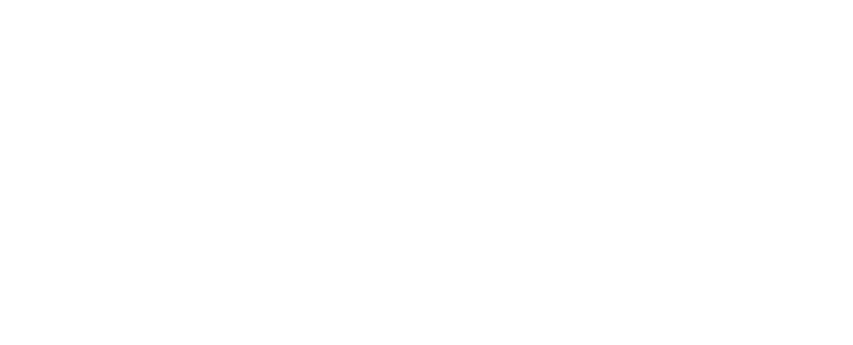 Dan Ionescu Architects logo