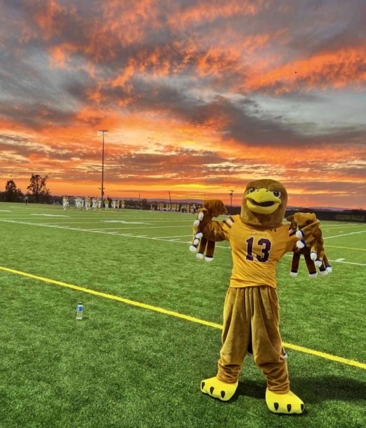 A girls' soccer team in maroon uniforms kneels on a grassy field with their coach.