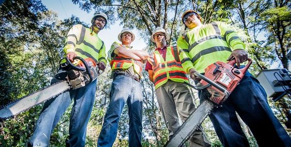 A group of men are standing next to each other holding chainsaws.