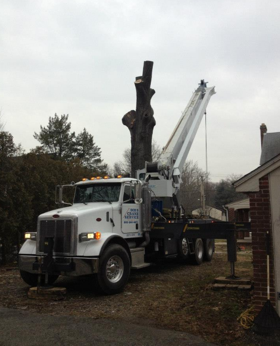 A white tree service truck with an extended crane is positioned near a tree stump. A cloudy sky provides the background.
