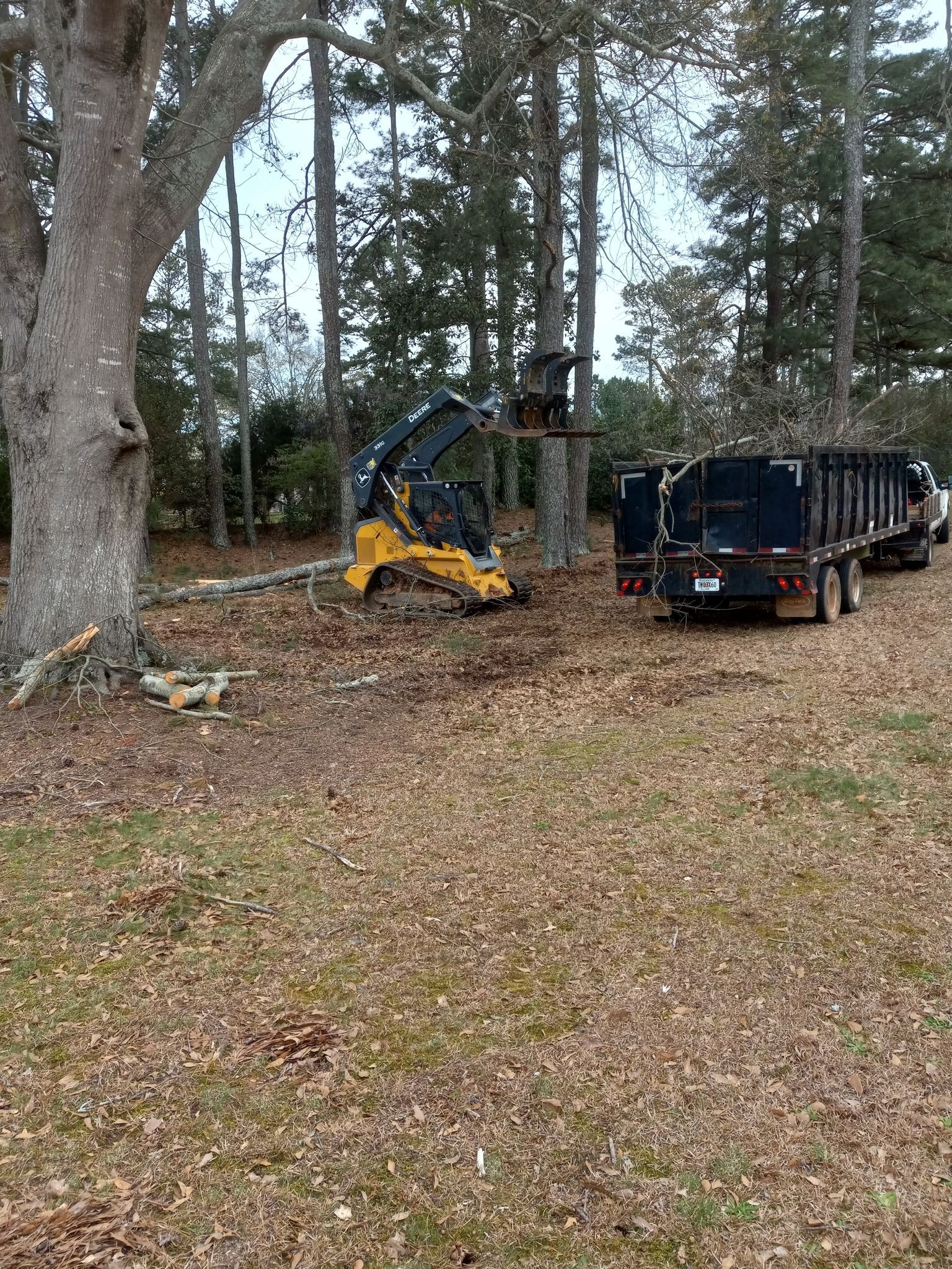A tractor is cutting down a tree in the woods.