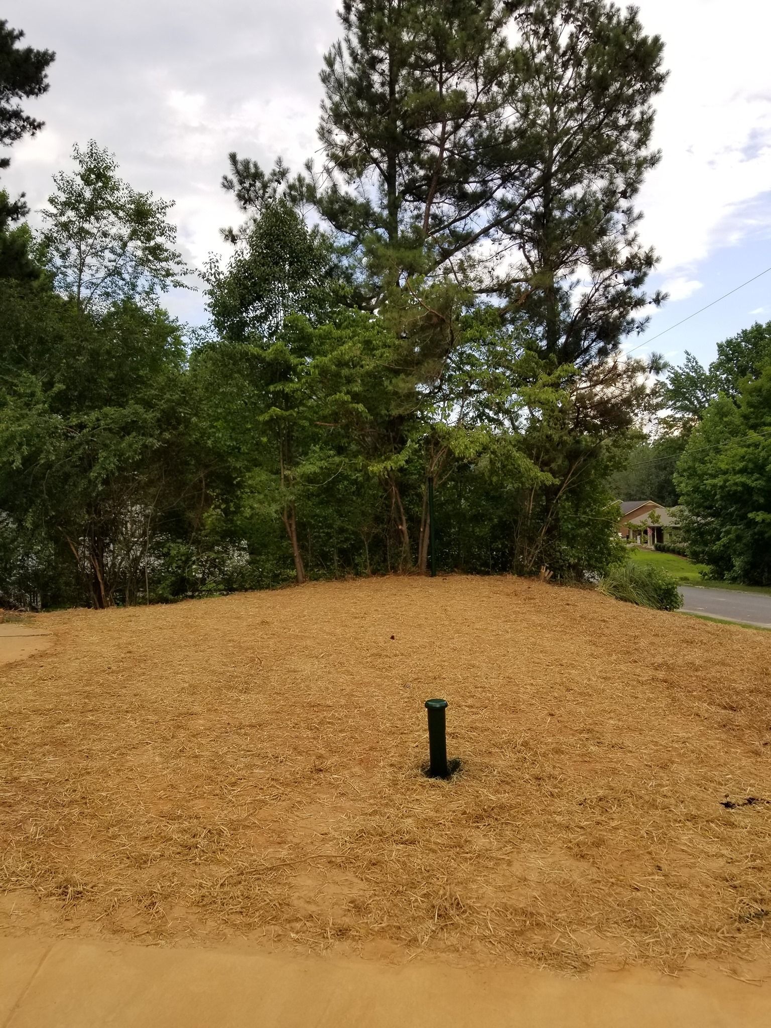 A dirt field with trees in the background and a black pipe in the middle.