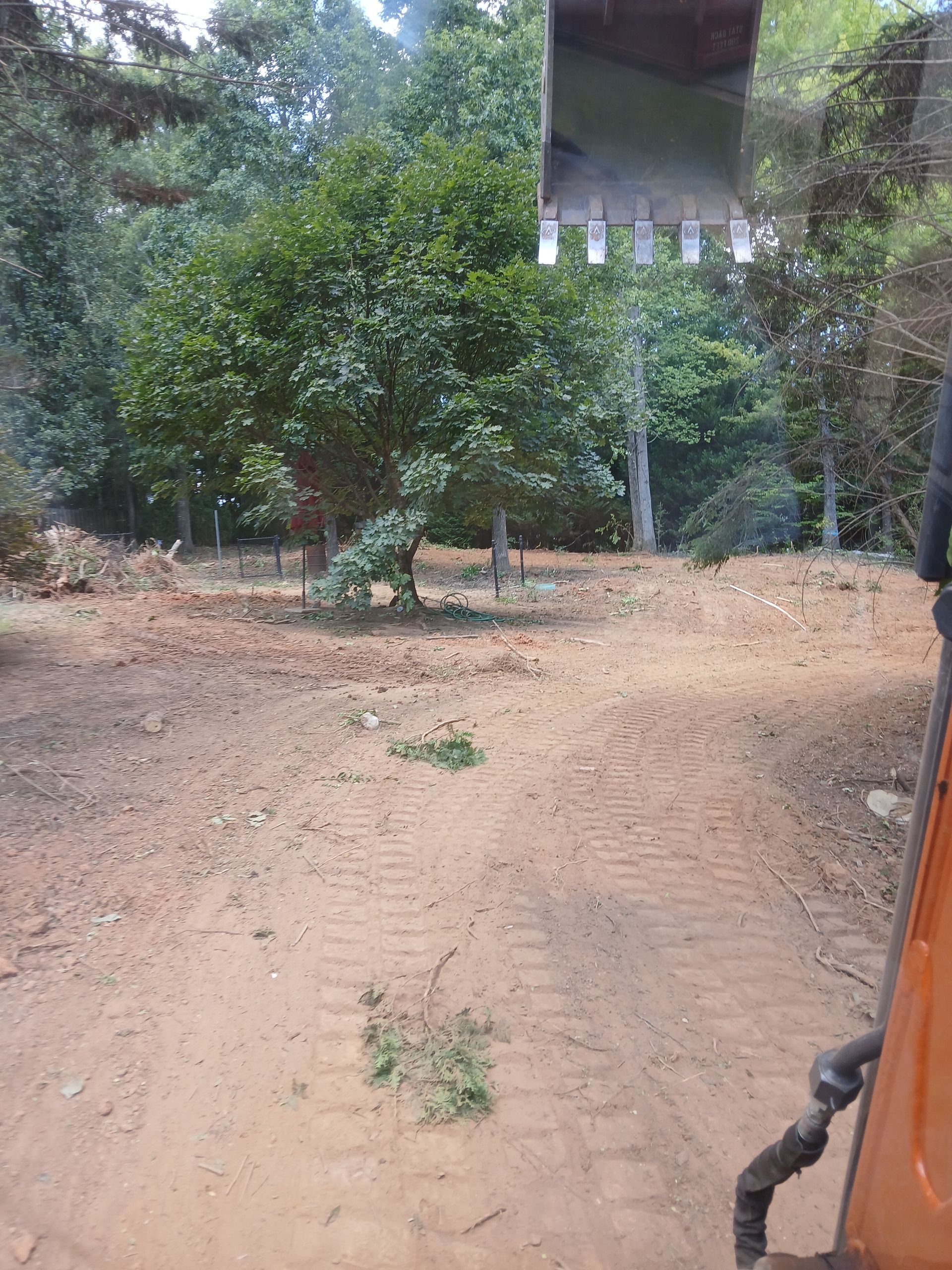 A person is driving a bulldozer on a dirt road.