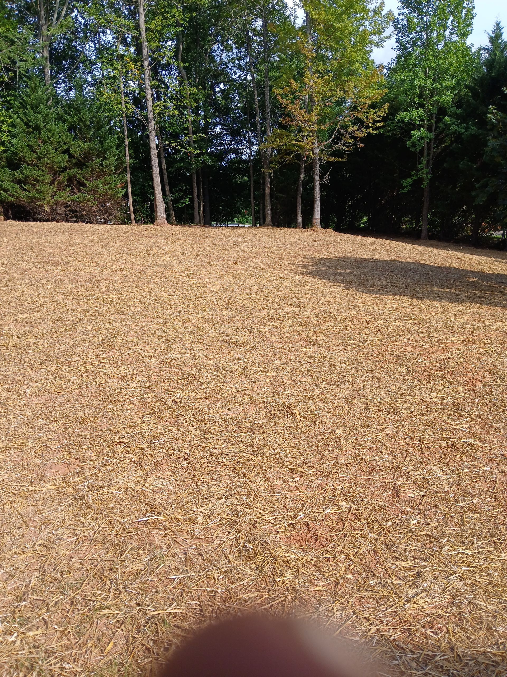 A pile of wood chips on top of a hill with trees in the background.