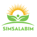 Logo Simsalabim