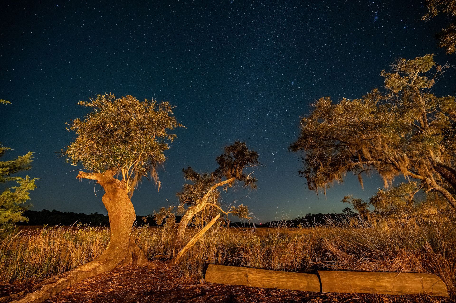 Night sky over a field and trees, illuminated by starlight. A wooden log rests in the foreground.