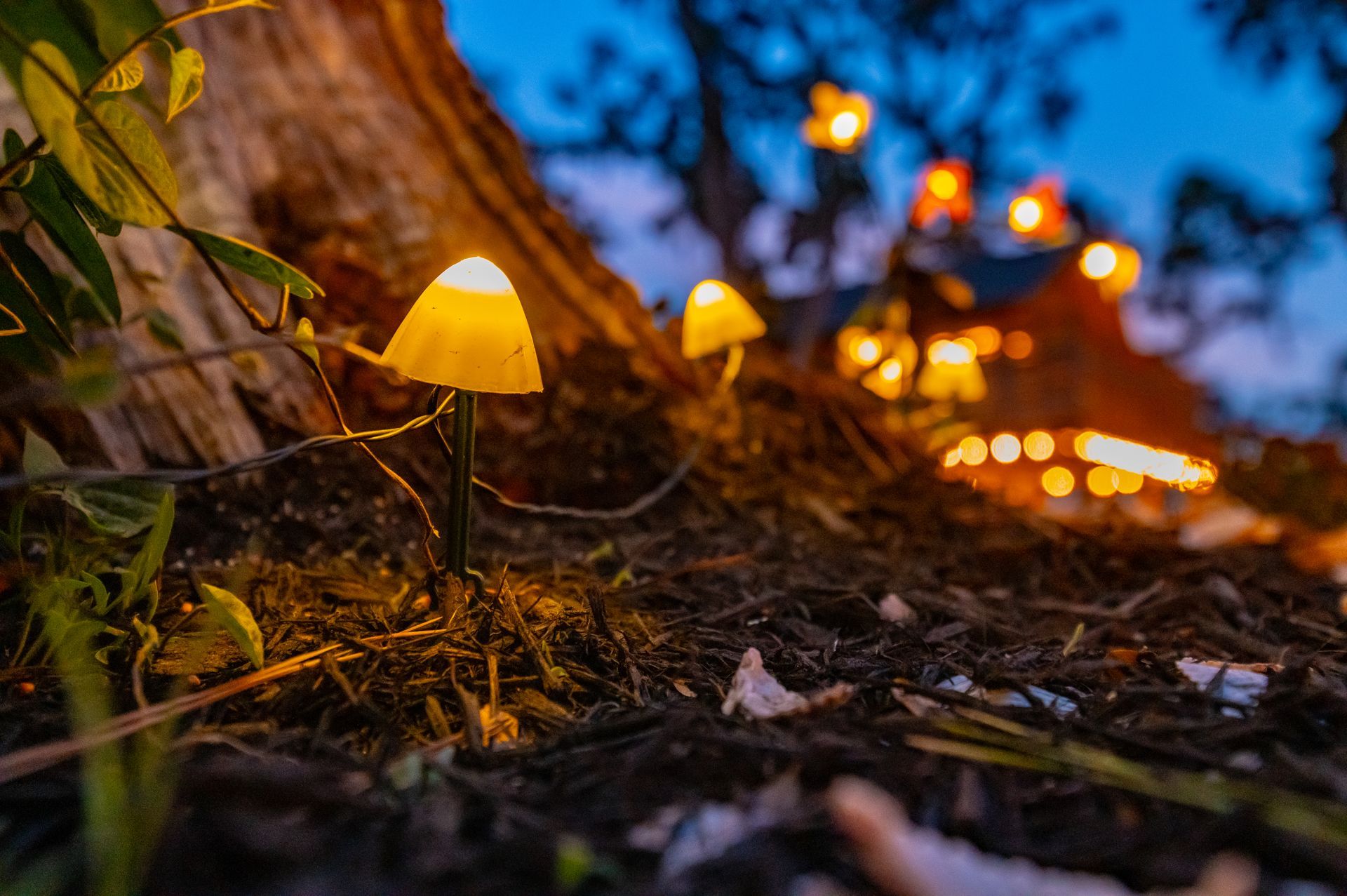 Treehouse, tent, campsite, campfire, nature, bird watching, retreat, vacation, resort, hotel, experience, family reunions