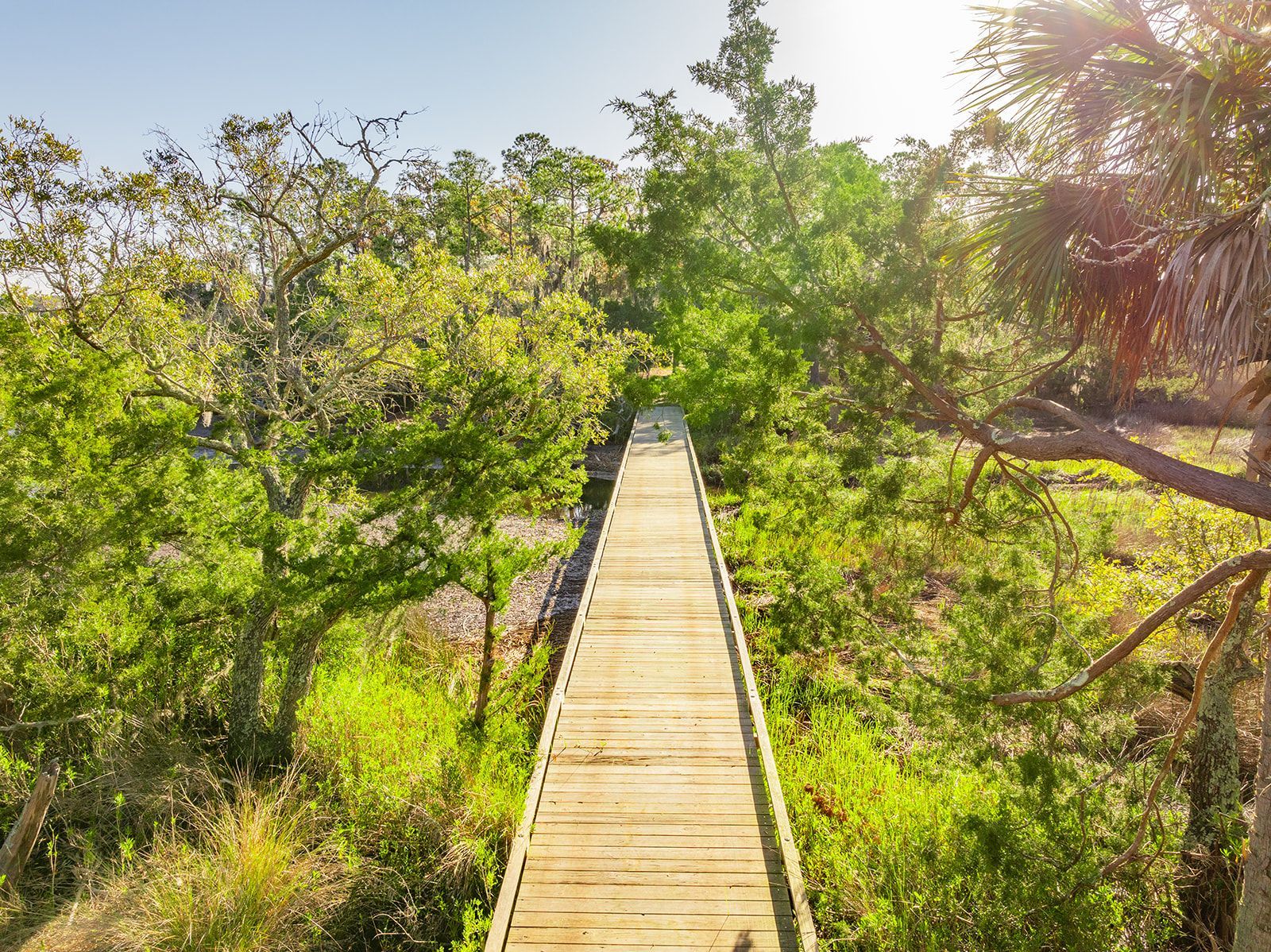 A wooden bridge going through a lush green forest.