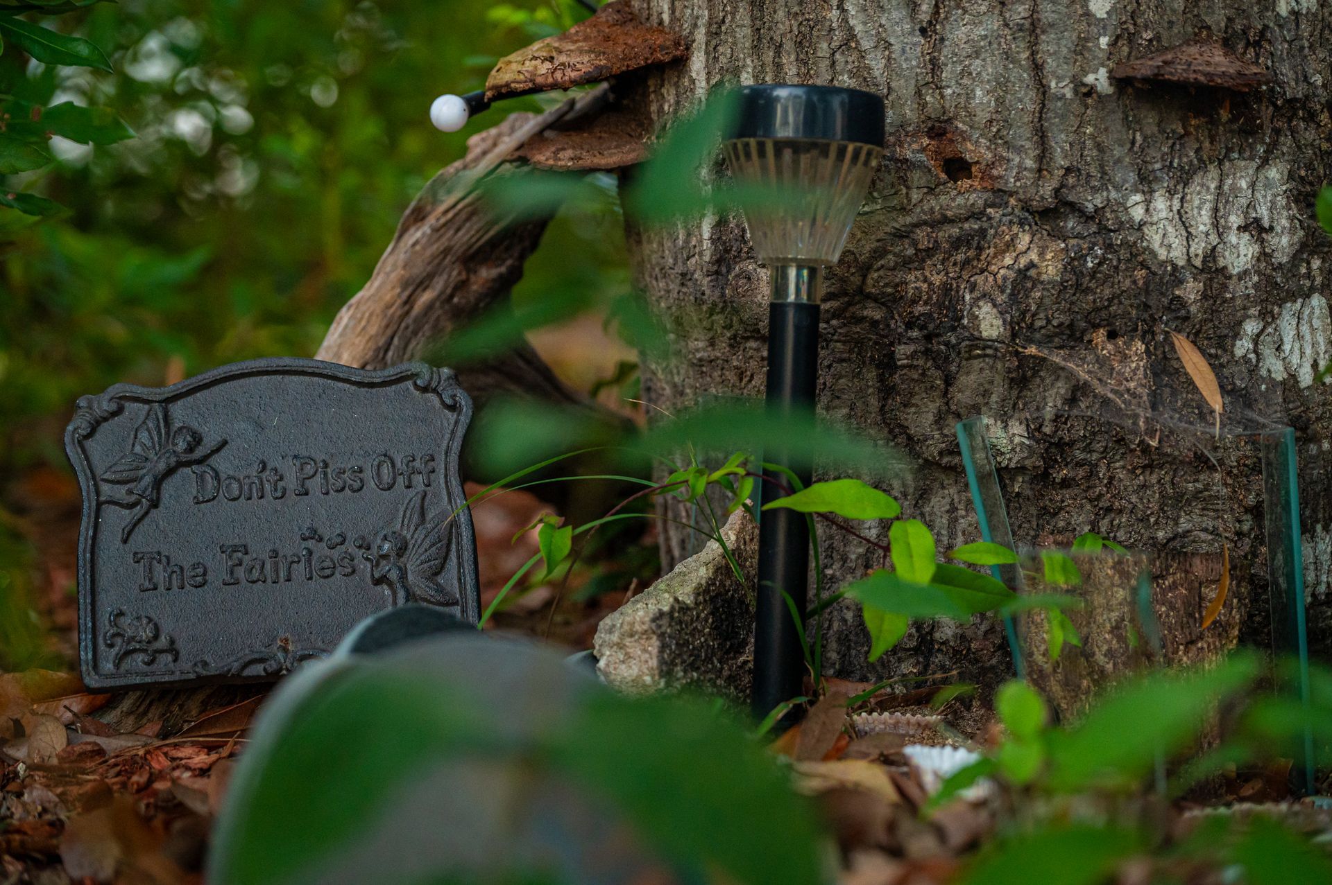 Close-up of a tree trunk with a fairy garden; features a headstone, solar light, and mushrooms.