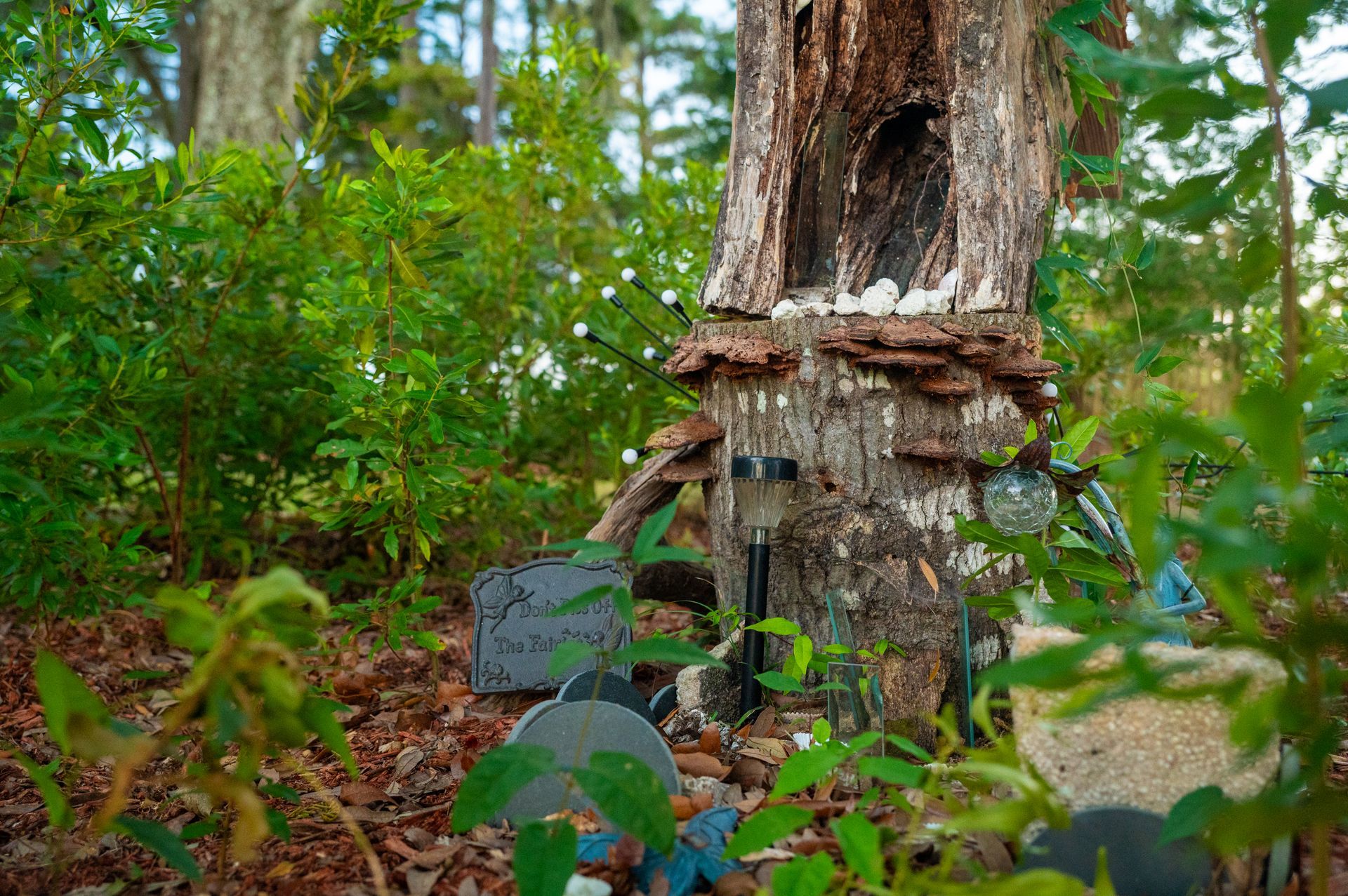 Wooden tree stump with a hollowed-out area, decorated with hanging objects and surrounded by greenery.