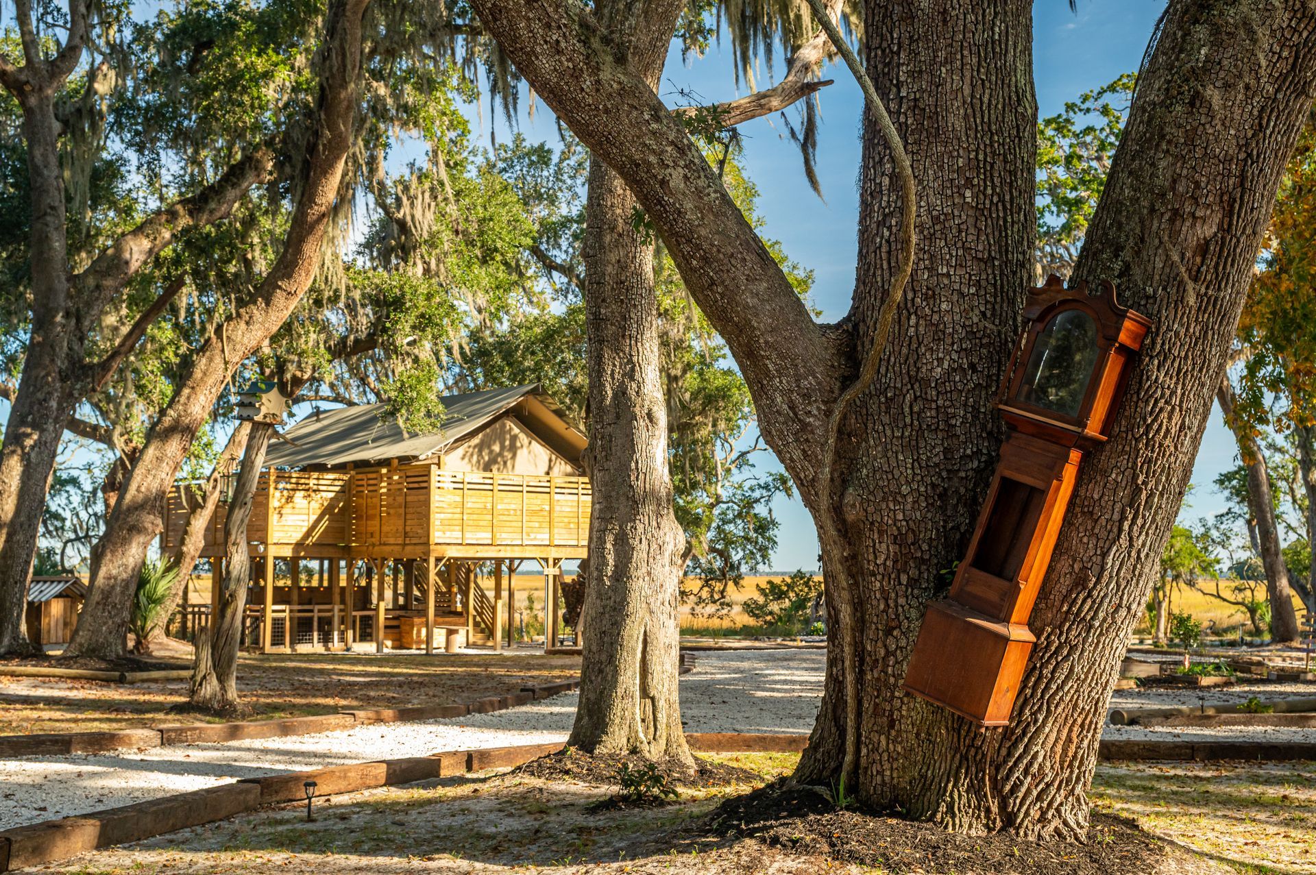 Wooden clock attached to a tree trunk near a rustic wooden building with surrounding trees.