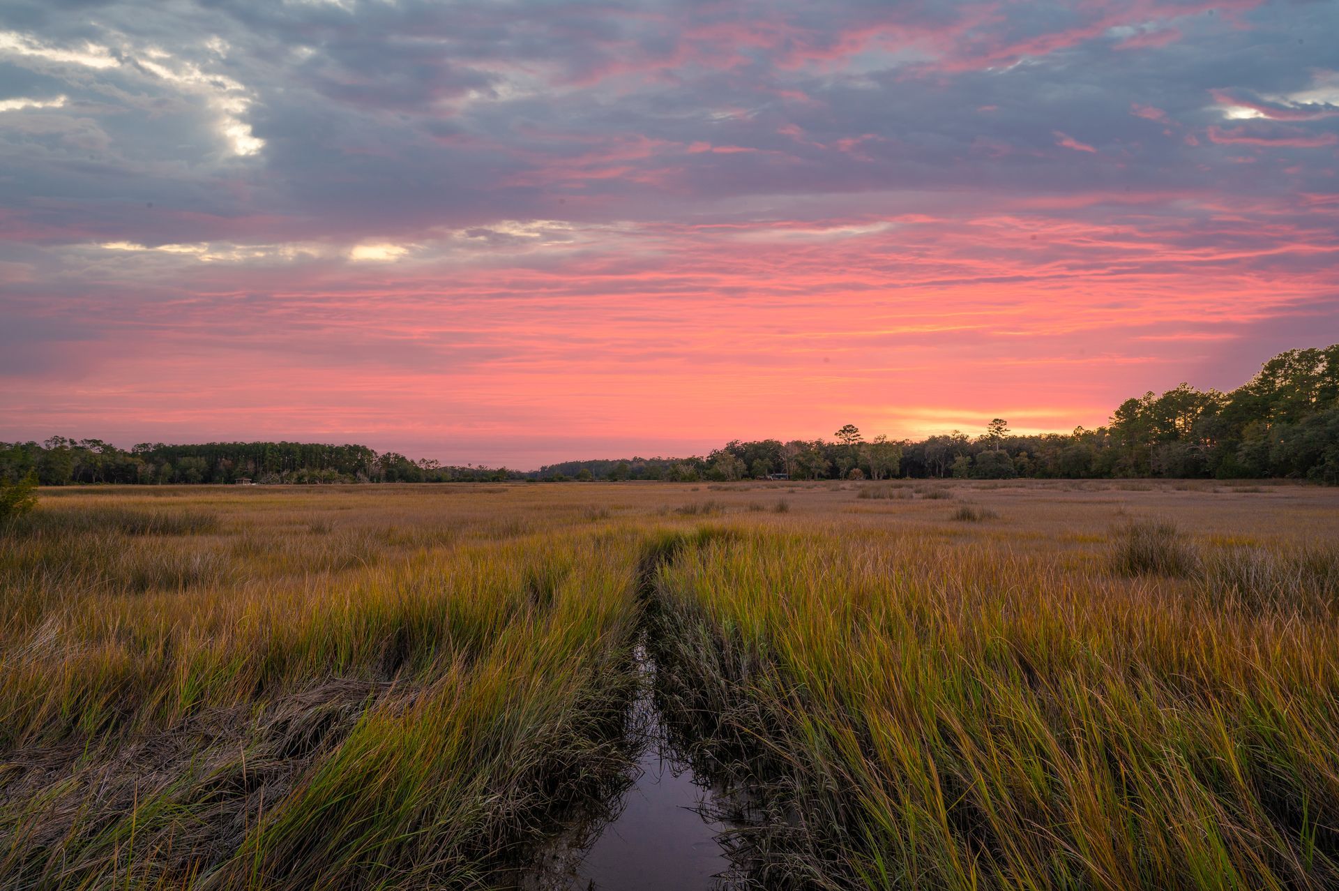Marsh at sunset with pink and orange sky; tall grasses, dark treeline.