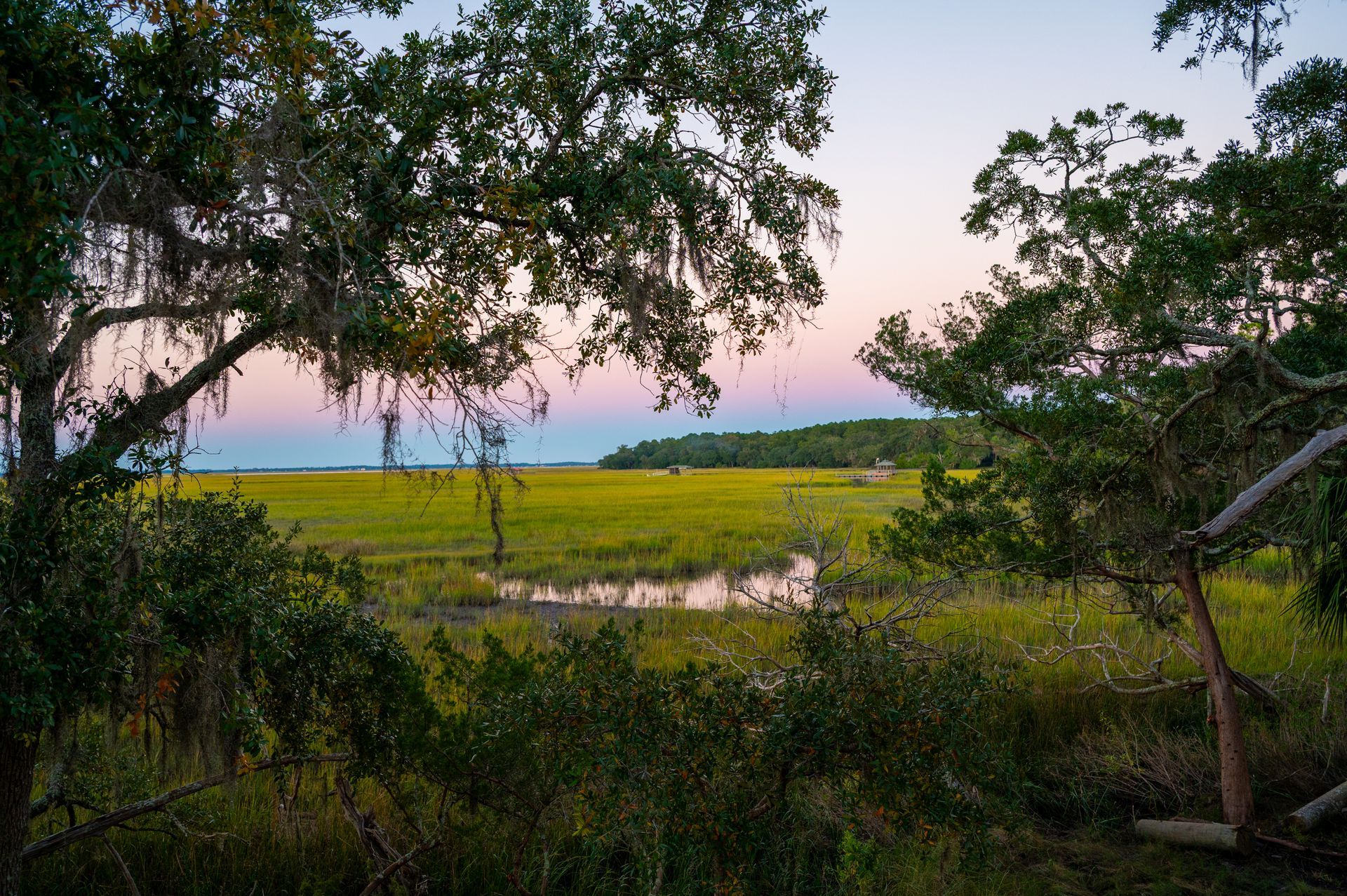 Marsh landscape with green and yellow grasses under a dusk sky with pink and blue hues, framed by trees.