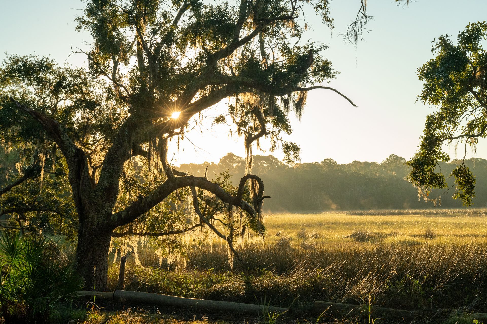 Treehouse, tent, campsite, campfire, nature, bird watching, retreat, vacation, resort, hotel, experience, family reunions