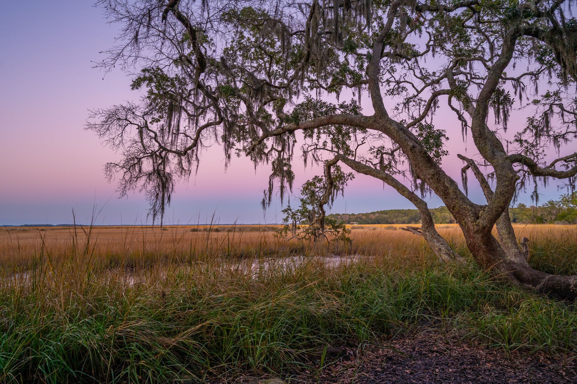 Treehouse, tent, campsite, campfire, nature, bird watching, retreat, vacation, resort, hotel, experience, family reunions