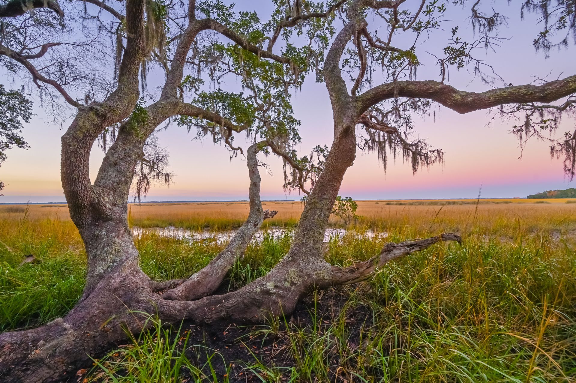 A large white house with a blue roof is surrounded by trees and flowers.