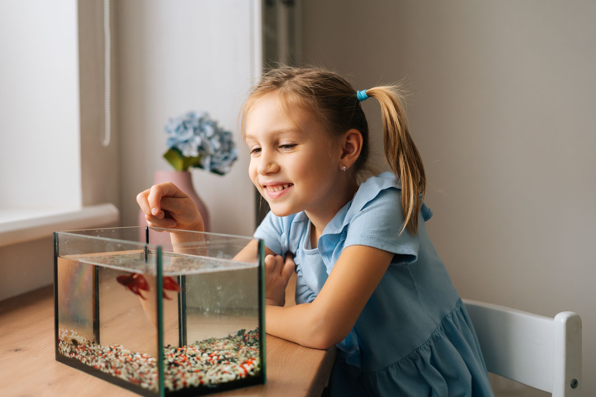 A little girl is sitting at a table looking at a fish tank.
