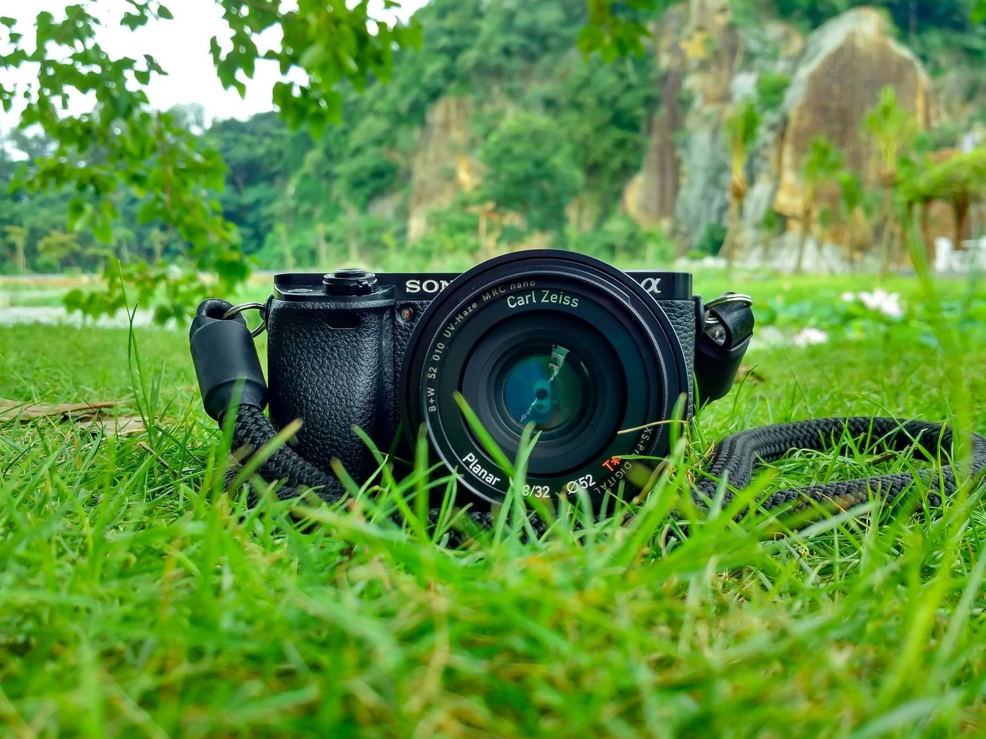 Black camera lying in green grass with trees and rocks in the background.