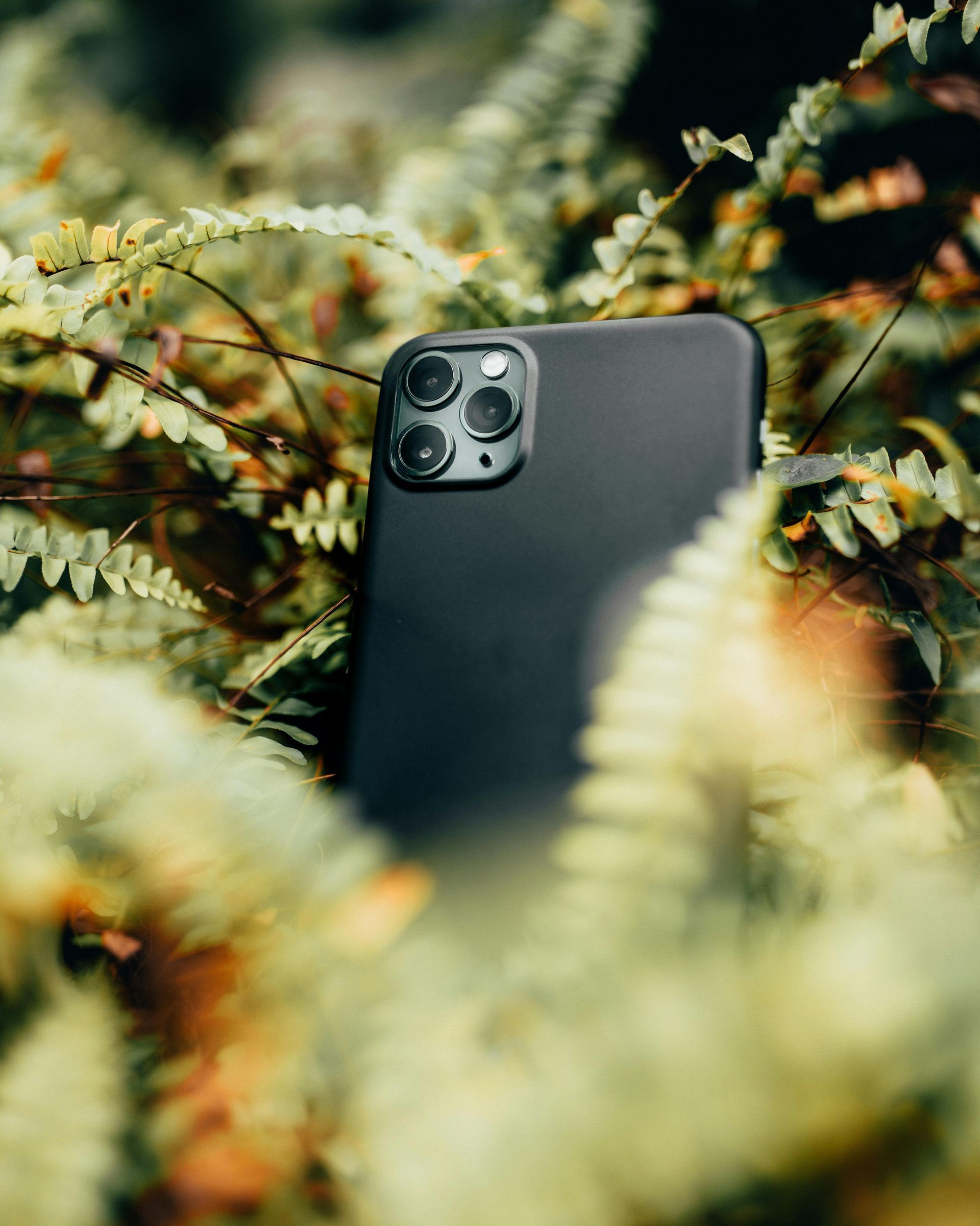 Black smartphone with triple-lens camera, resting in green ferns.