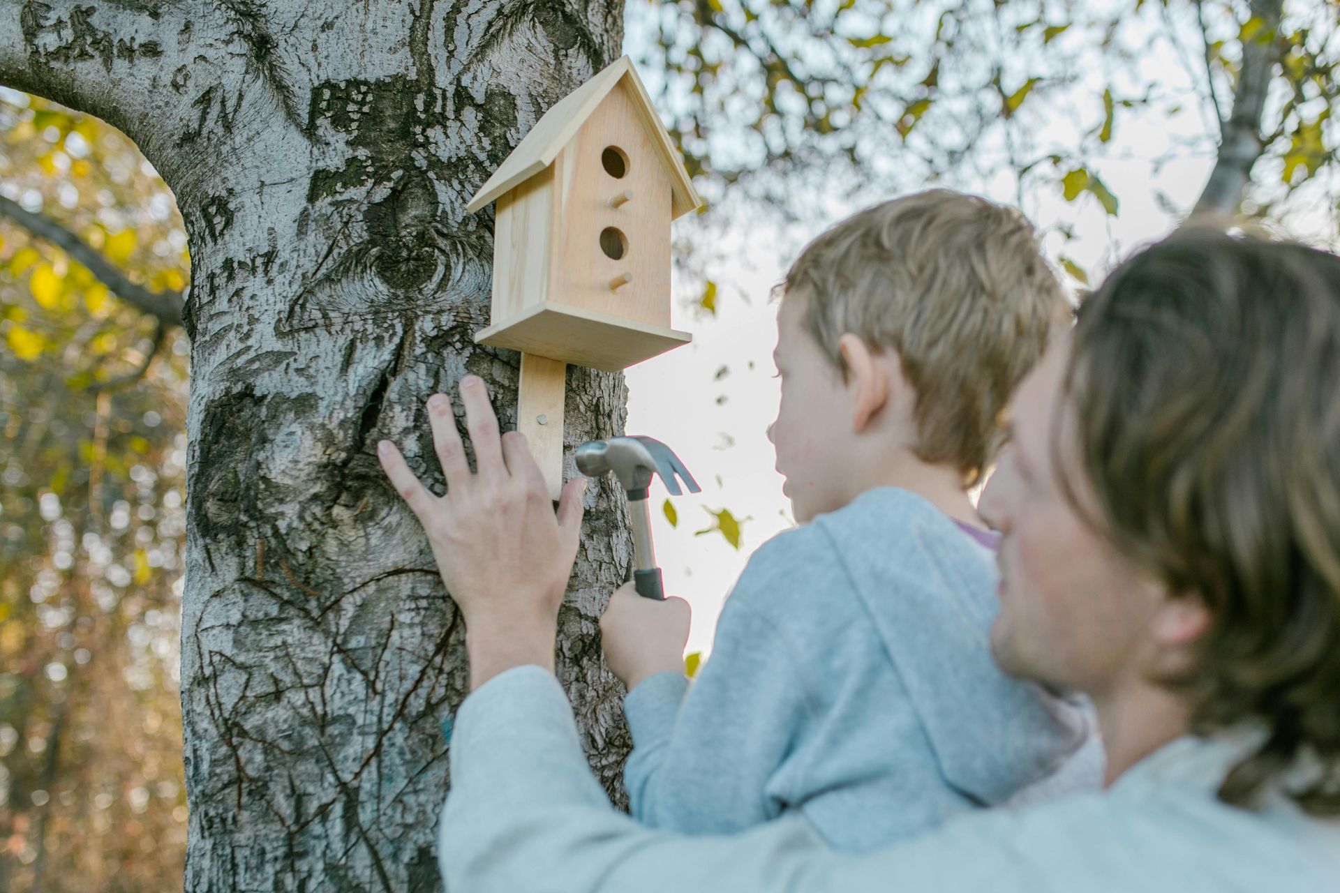 Father and child hammering a birdhouse onto a tree. The birdhouse is light brown.