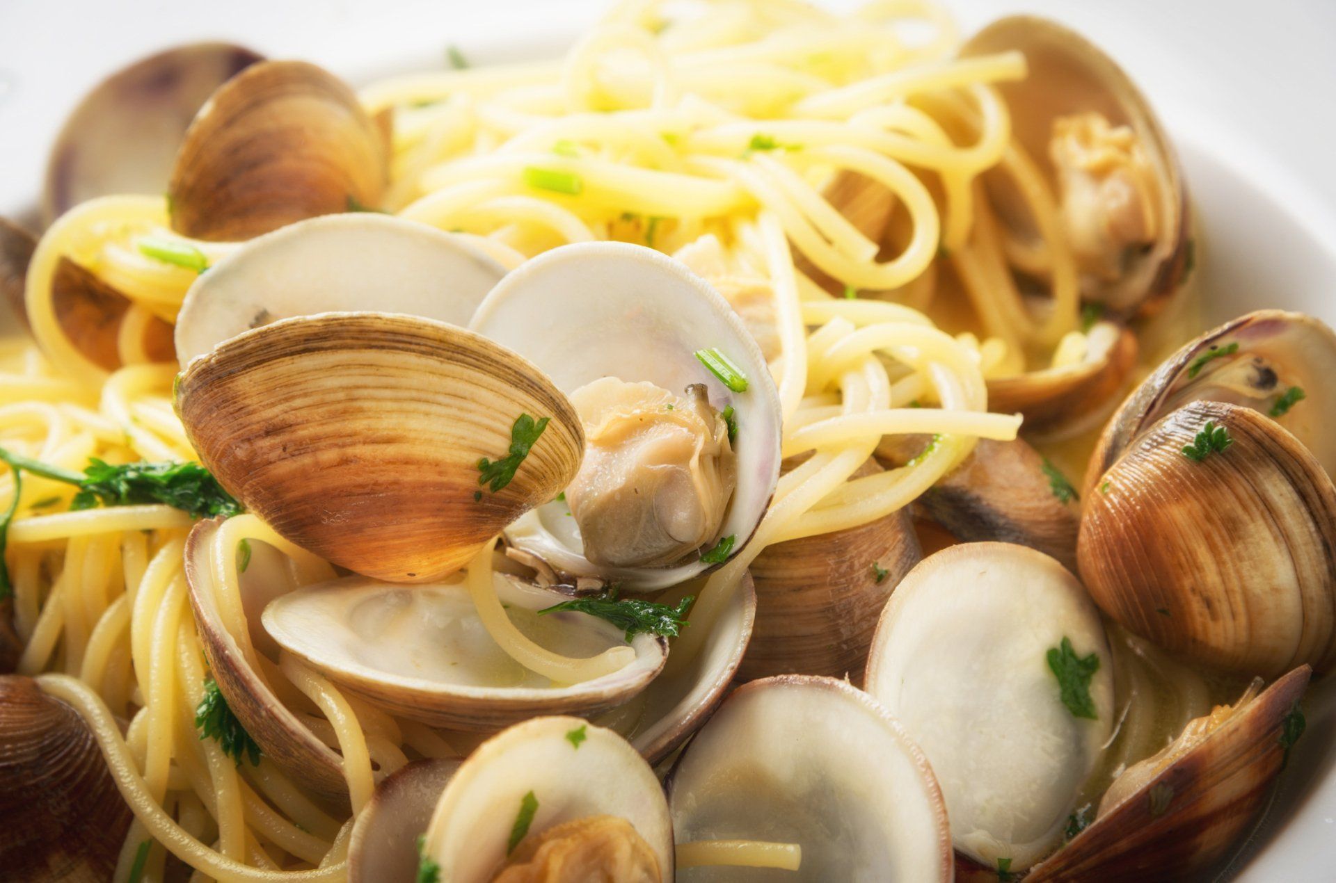 Spaghetti allo scoglio