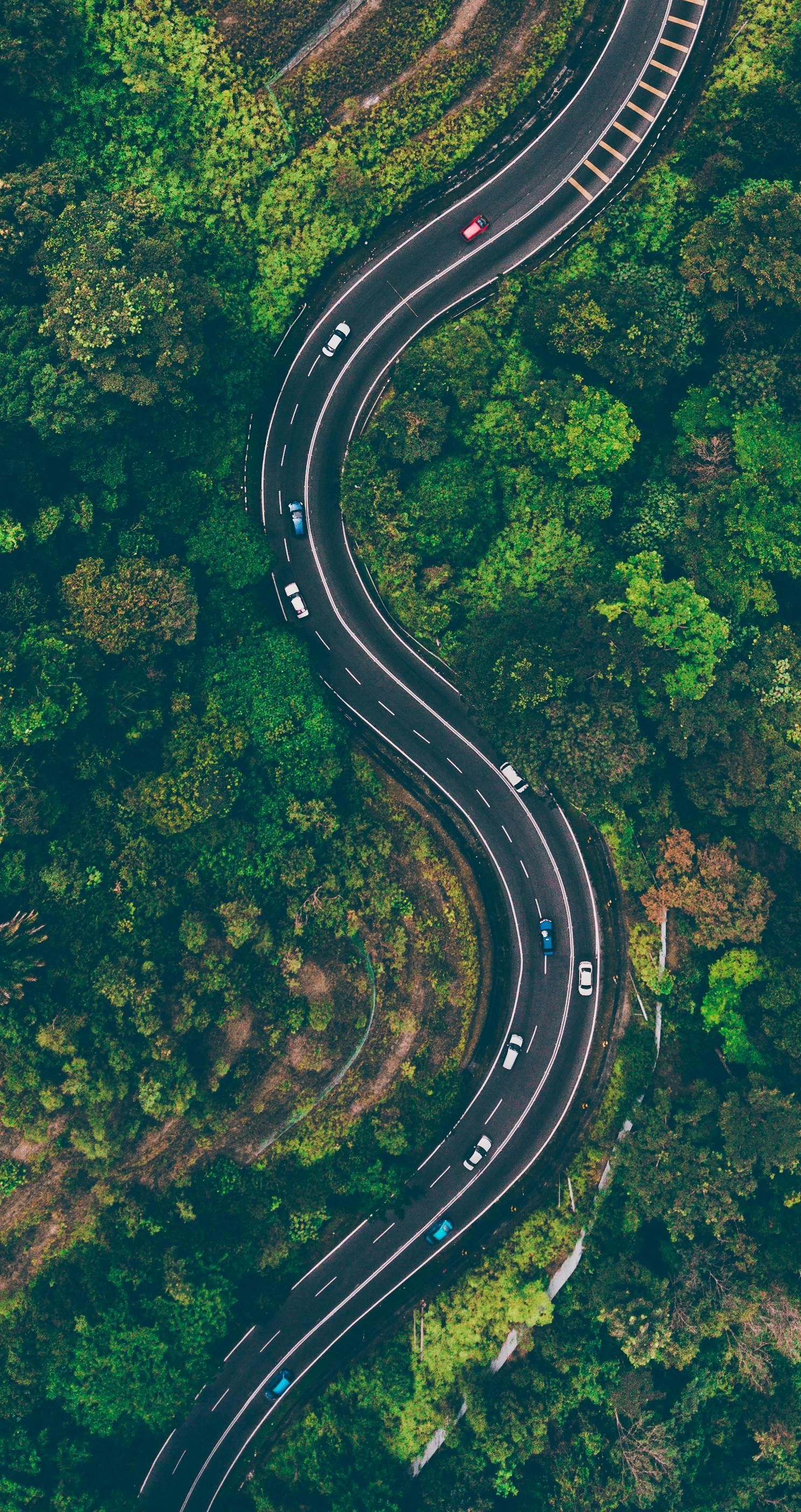 An aerial view of a winding road surrounded by trees.