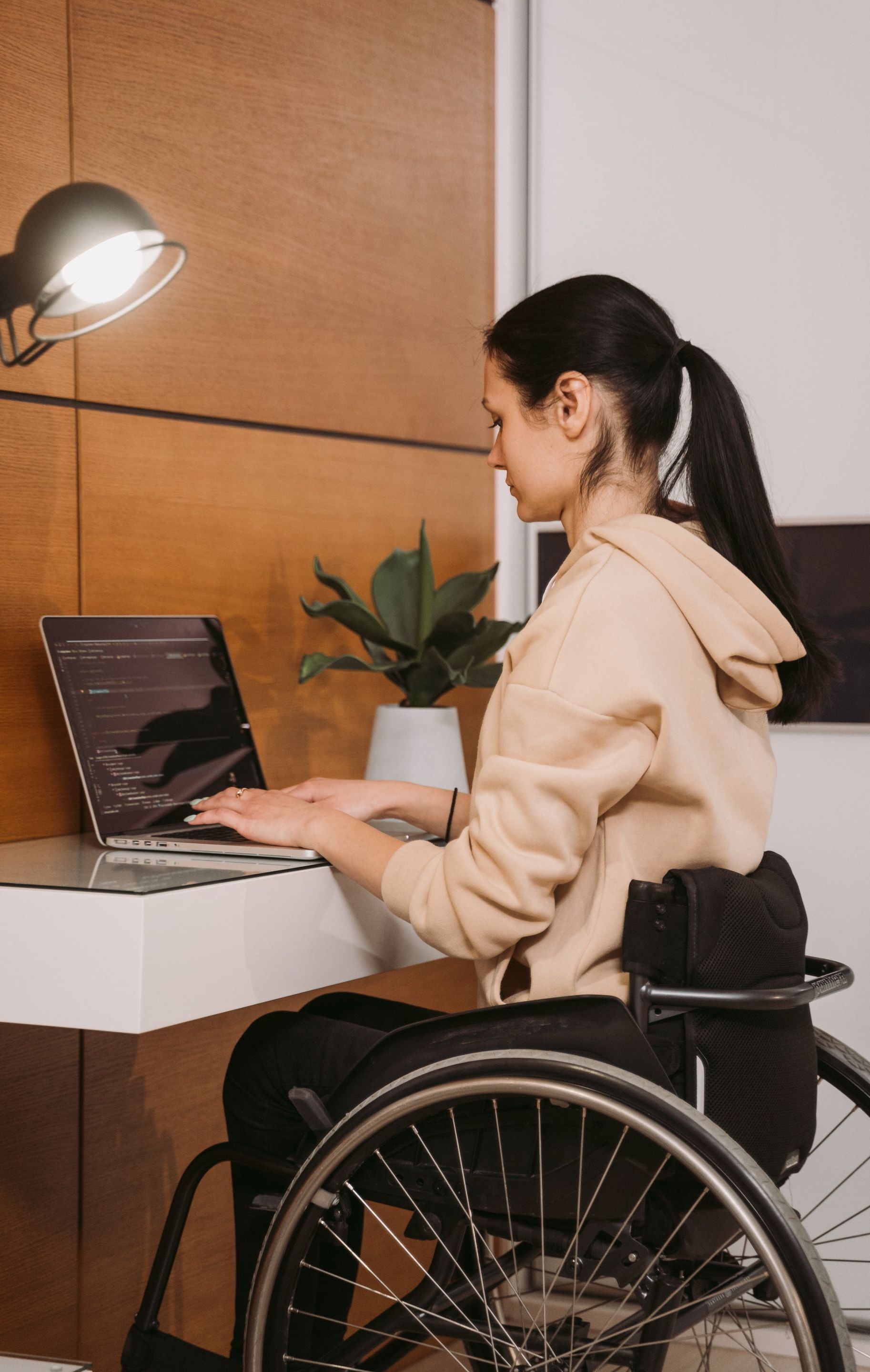 woman in a wheelchair