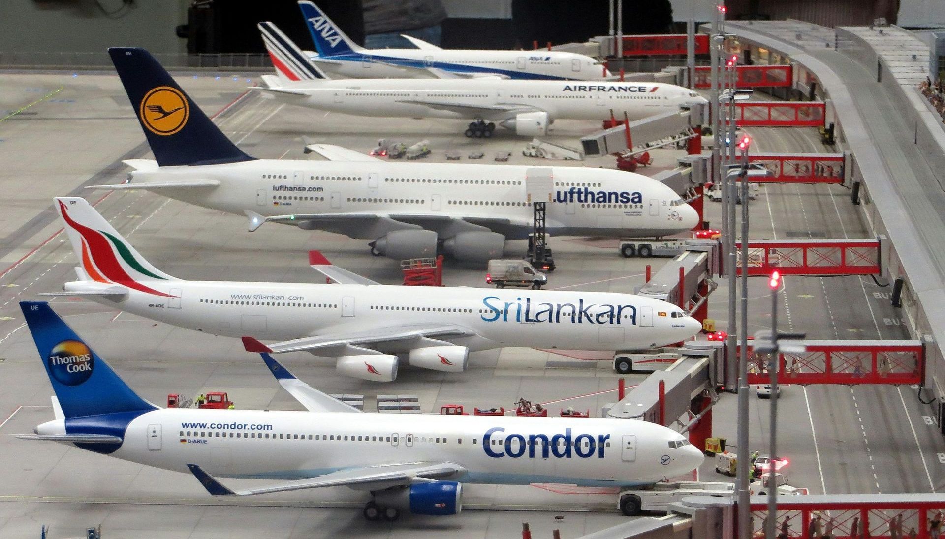 A condor airplane sits in the middle of a row of other planes