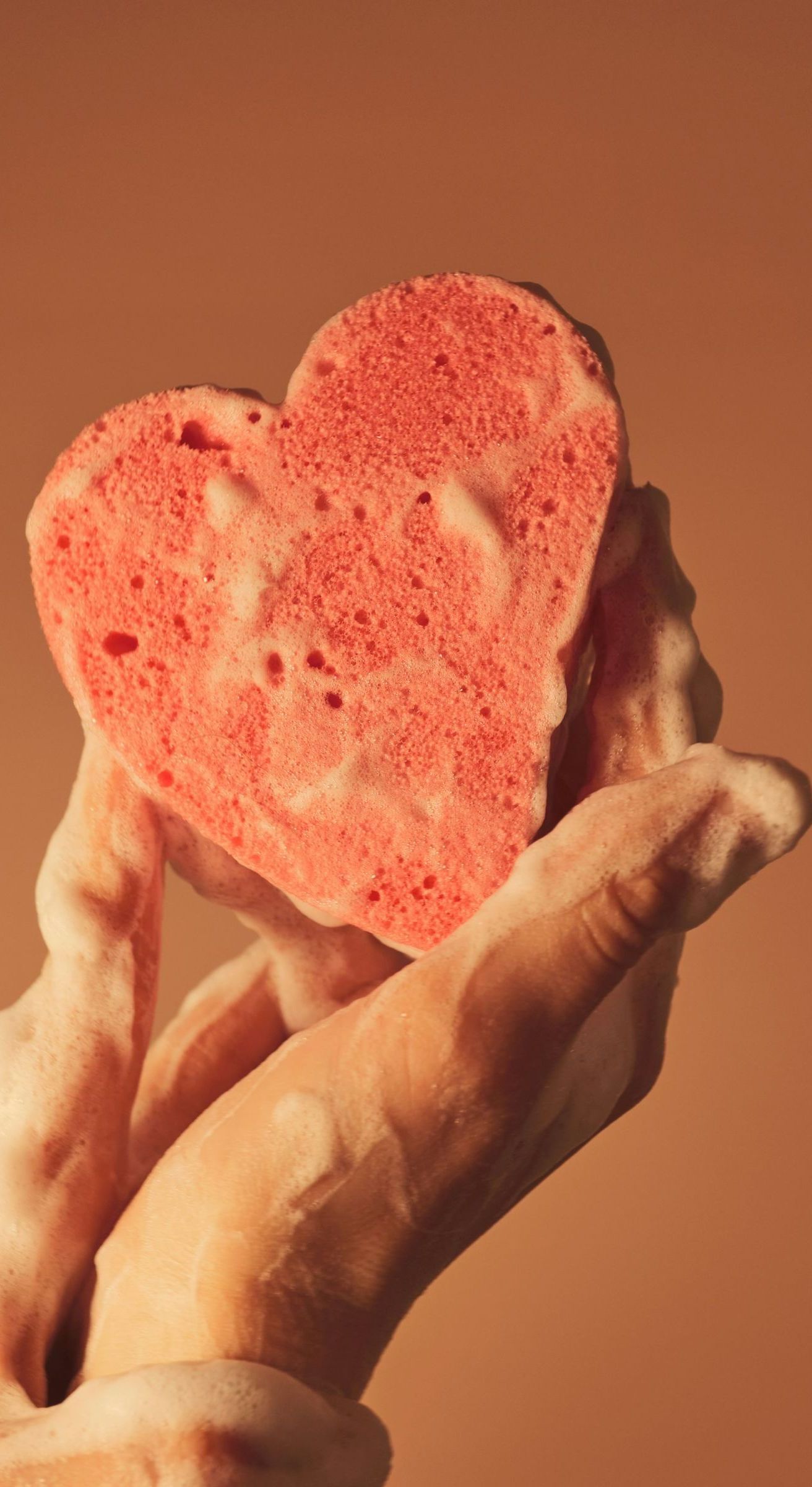 sponge heart