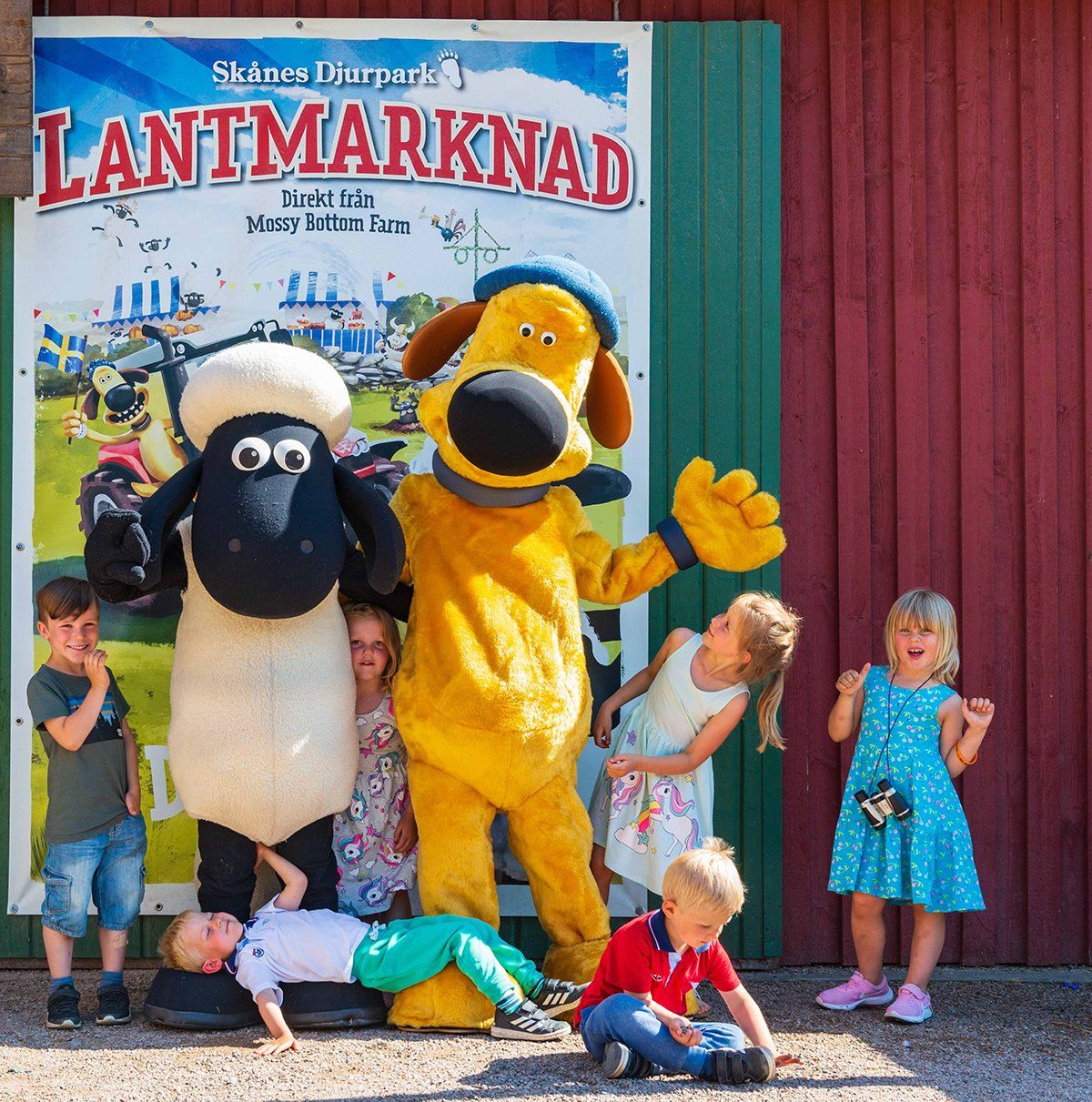 FÄret Shaun Land i SkÄnes Djurpar - möt Shaun och Timmy!