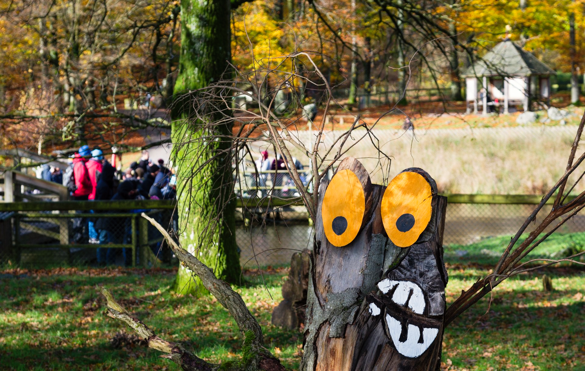 Höstlov i Skånes Djurpark - kan du hitta alla mystiska skogstroll?