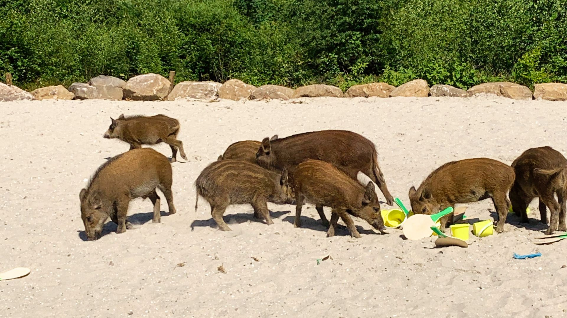Påskfirande med familjen i den skånska vildmarken